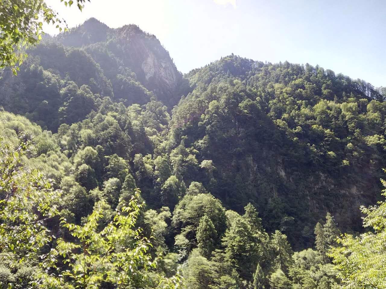 户外小白成长记,户外小白进阶课