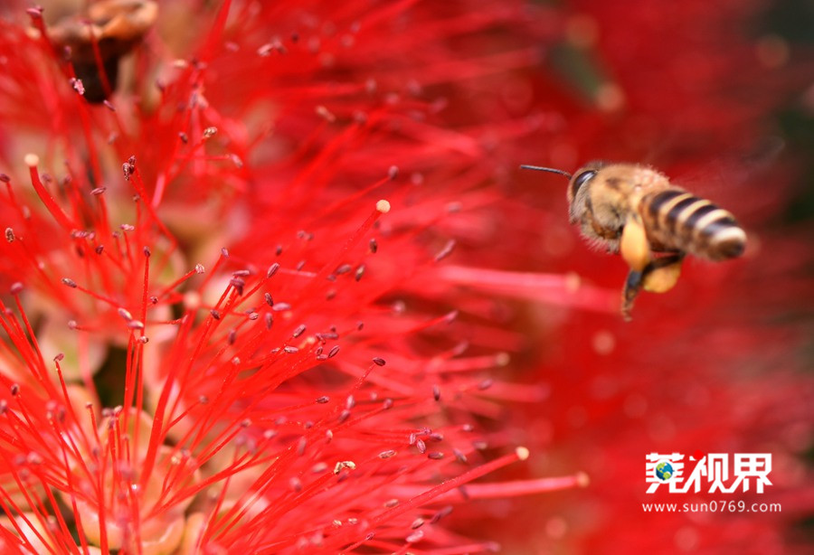 山水风景都很美,山水景色不输九寨沟