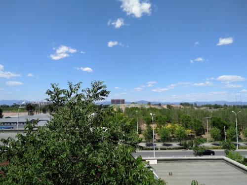 锤子坚果pro总死机,锤子坚果pro质量问题