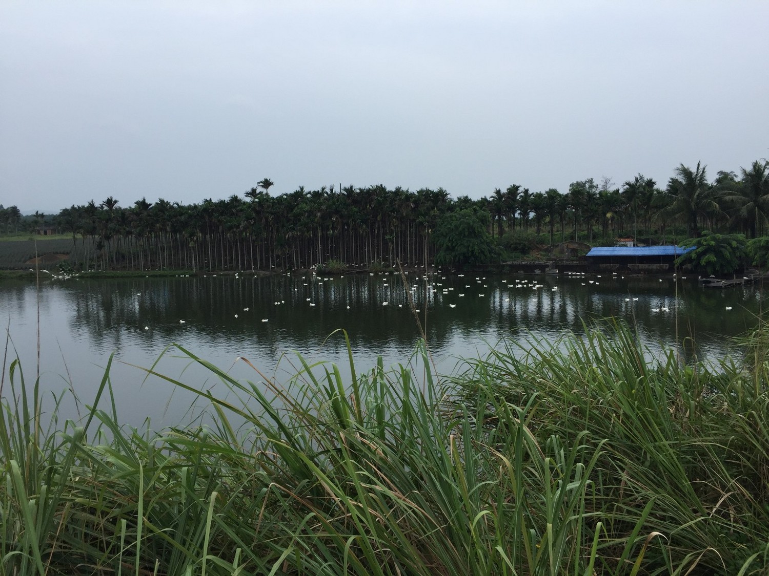 单车骑行环海南岛攻略,环海南岛骑行一圈花费