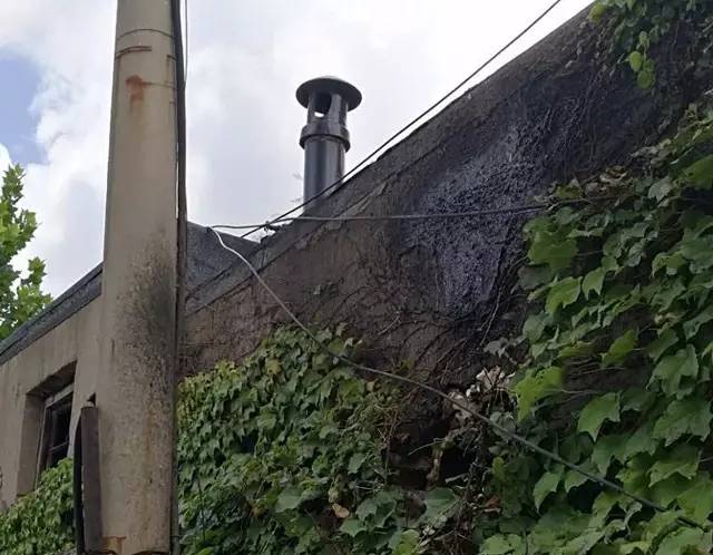 啄木鸟行动消灭错别字,朝阳市建平县啄木鸟行动