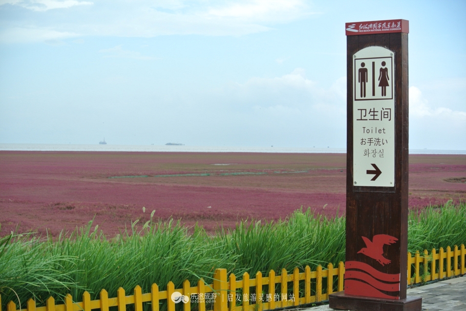 红海滩的特别之处,红海滩商标设计