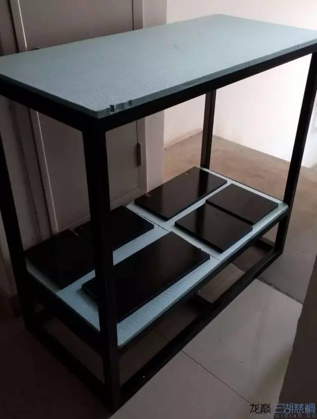 从零开始原生缸,从零开始造景缸