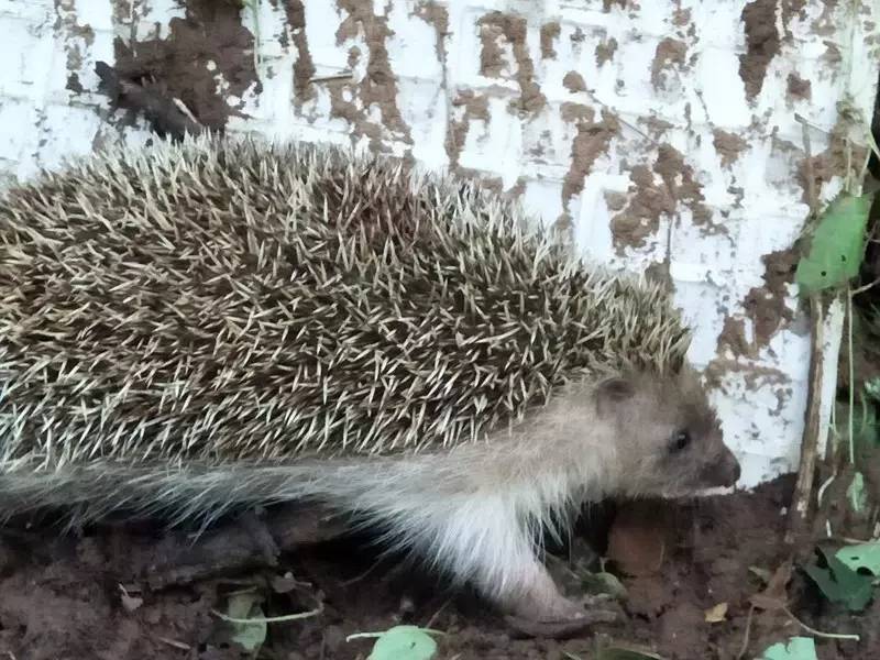 520名学子得到105万助学金；广仁大街旱河沿岸新添3座移动公厕；信“苗药”花5万，病没治好反而加重……