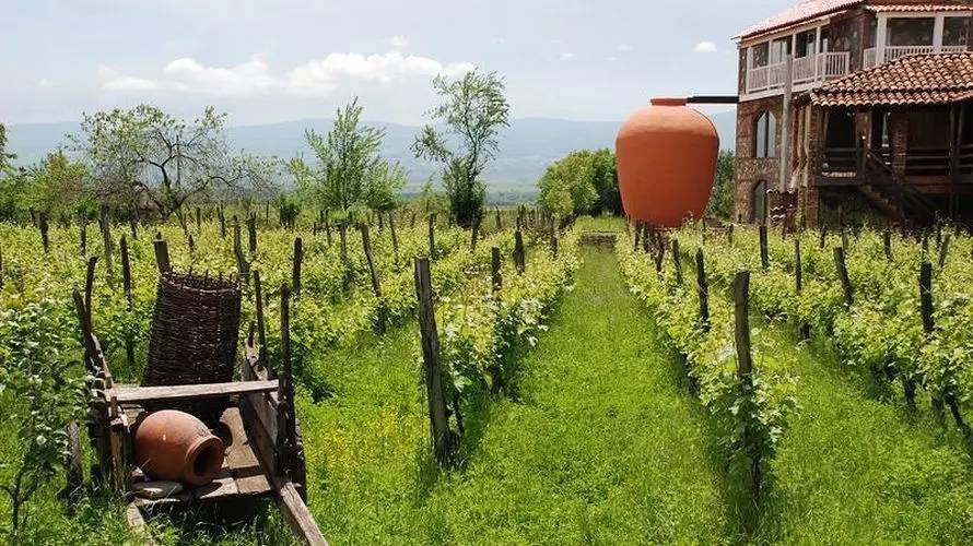 电子签免签地点,免签直飞的超冷门海岛