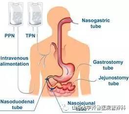 齐鲁医院营养餐,齐鲁医院附近营养餐
