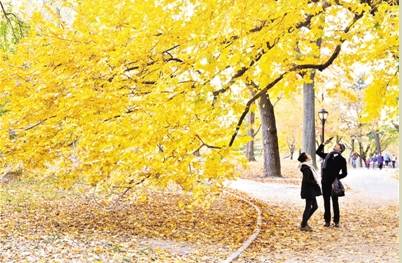 郑州七夕一天的最佳安排,提前做好七夕准备