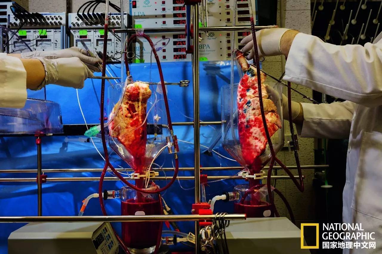 人类发明的新技术,人类新科技技术