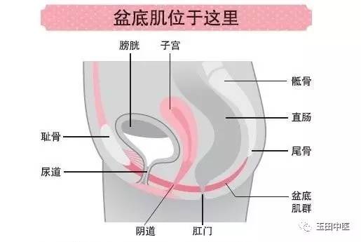 玉田中医院康复中心,民权县中医院盆底肌修复
