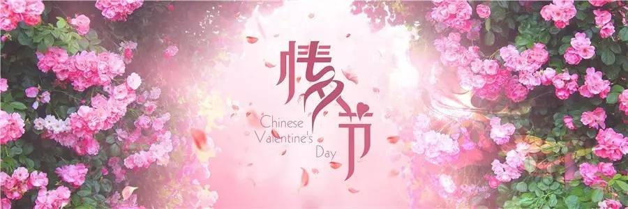 一生只爱一个人一世只为一个魂,一生只爱一个人一世只为一段情