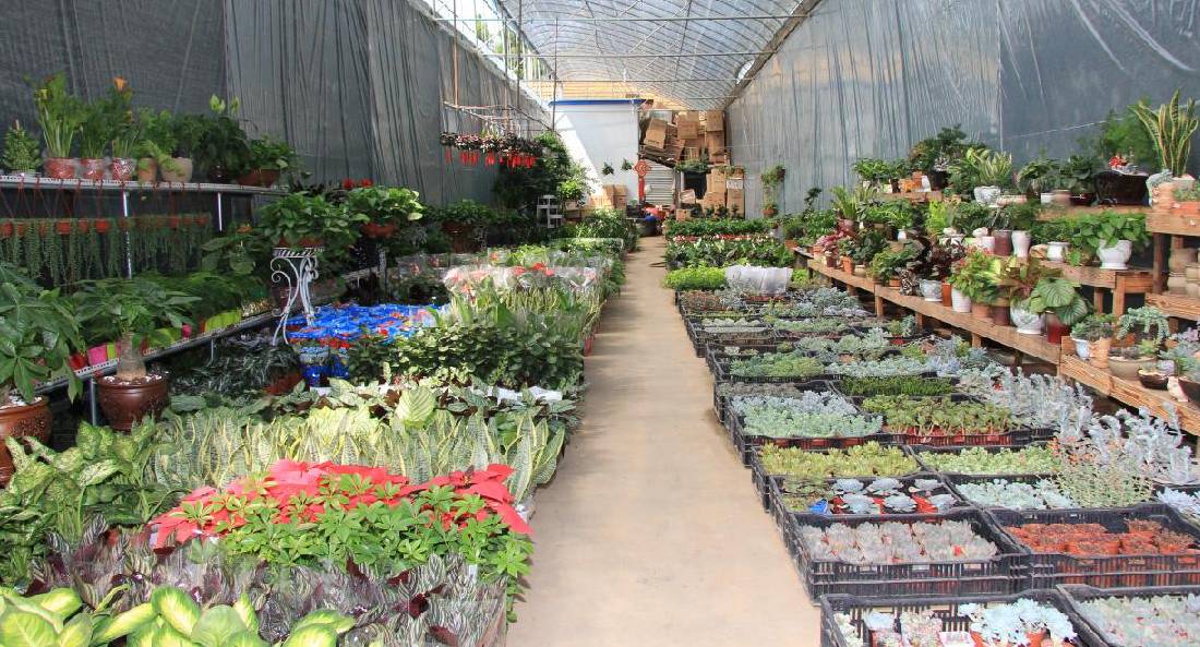 一生只爱一个人一世只为一个魂,一生只爱一个人一世只为一段情