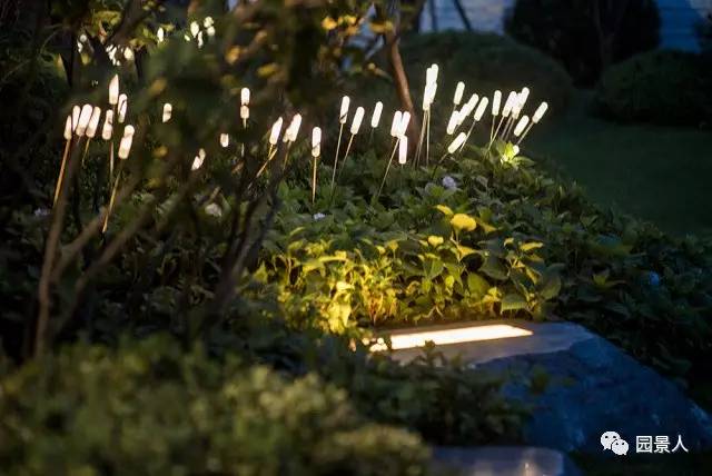 中国最好看的夜景风景区,濮阳市示范区夜景最漂亮的地方