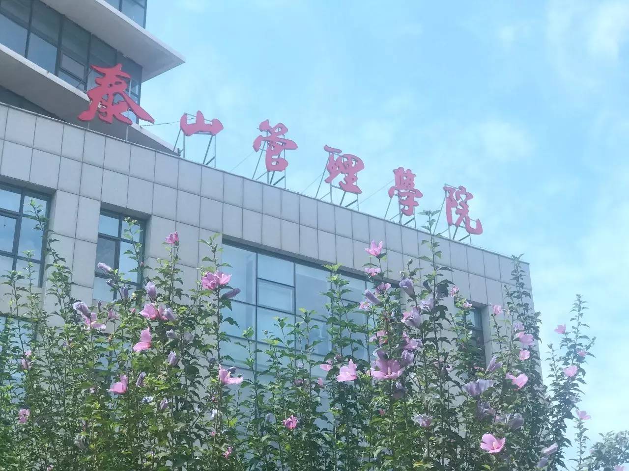 因为优秀，所以相聚｜泰山管理学院实战MBA1702班开学记