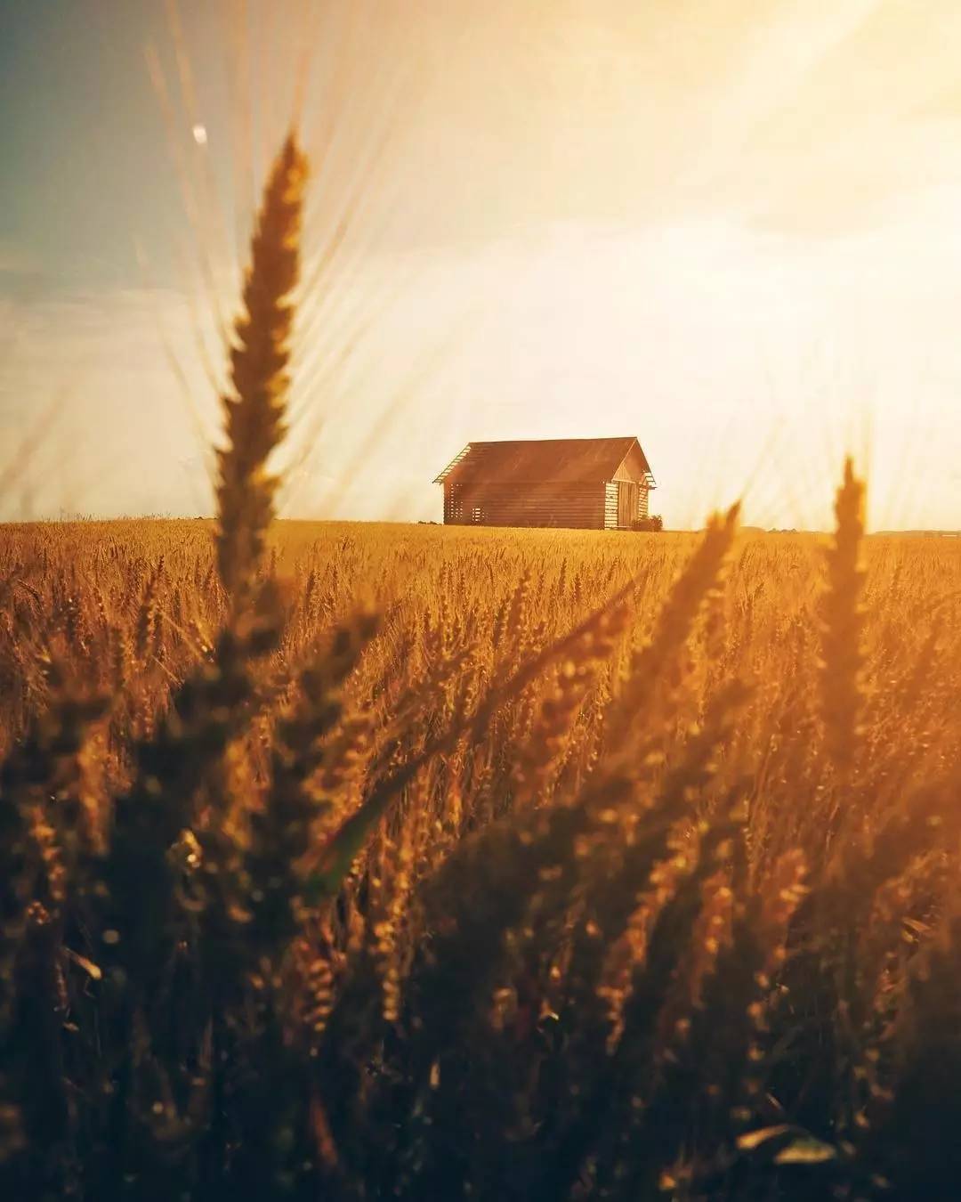 你有过被盗视频的经历吗,哪些图片有被盗图举报风险