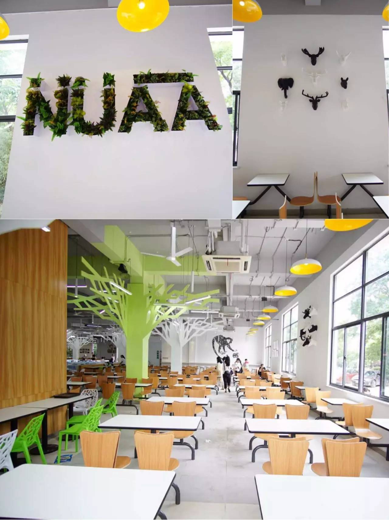 南航河南公司空勤食堂,南京南航校内食堂