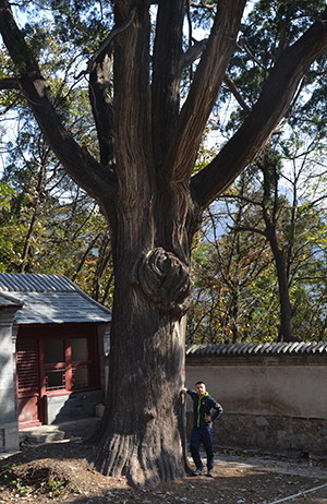 kailas凯乐石羽绒三合一冲锋衣,凯乐石kailas冲锋衣a203合一