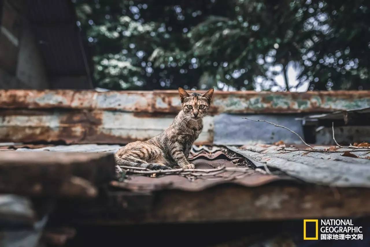 菲律宾长滩岛晚霞,菲律宾长滩岛与马尼拉