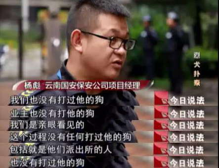 十大最可怕暴力犬,十大极度可怕暴力犬