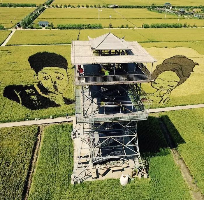 沈阳稻梦空间玉米,沈阳有稻梦空间吗