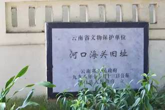 美丽的河口一日游,秋色正好邂逅大美河口