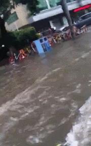 东莞市南城街道淹了没,东莞大雨哪几个镇不会被淹