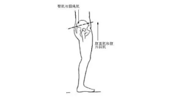 第917期｜骨架与平衡！人体架子是练好太极拳的大问题（推荐阅读）