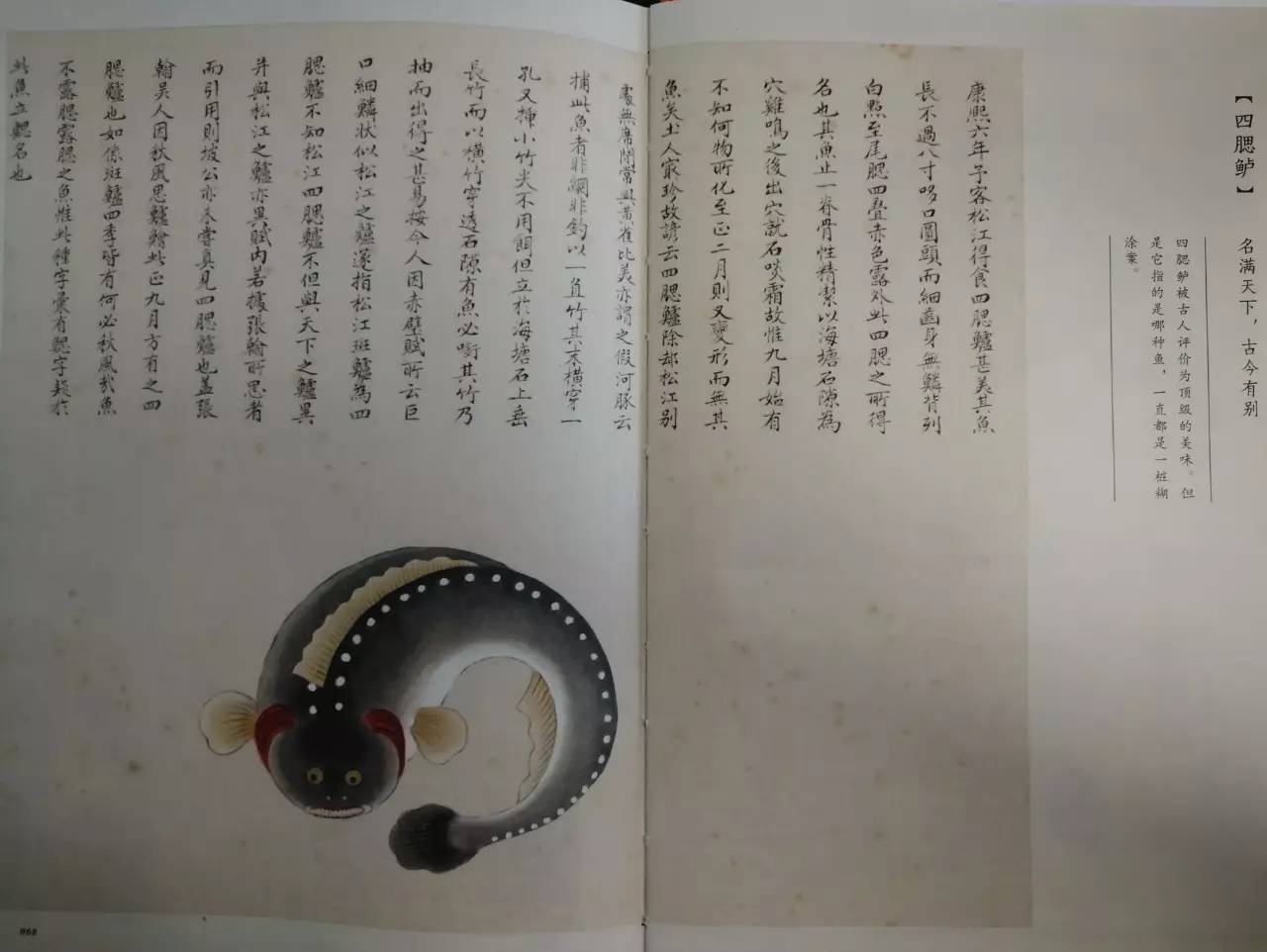 大千世界无奇不有这种鱼你见过吗,世界之大无奇不有鱼都会走路