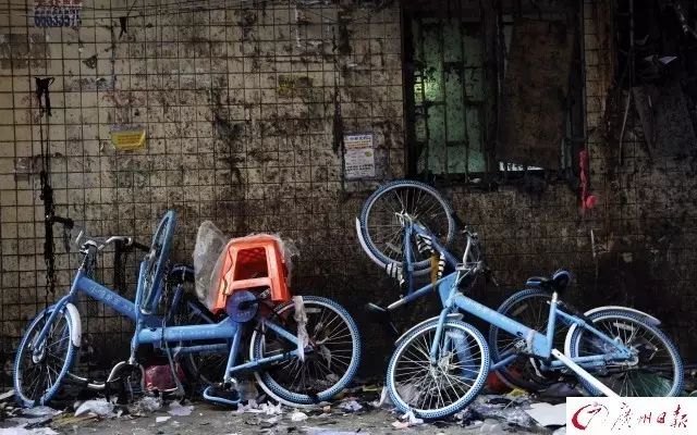 小鸣单车可以退押金了么,小鸣单车押金最新消息