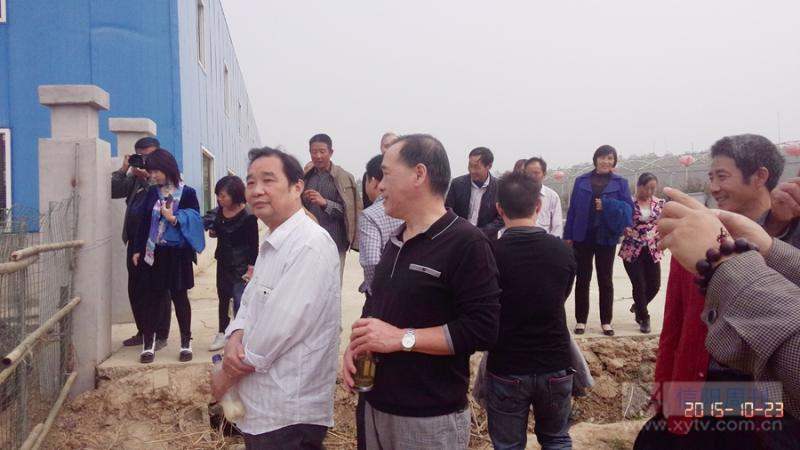 挥洒笔墨写过往,挥洒笔墨歌曲原唱