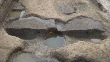 298000㎡！园区将要兴建42个足球场那么大的绿地公园！未来还有这么多公园要面世！