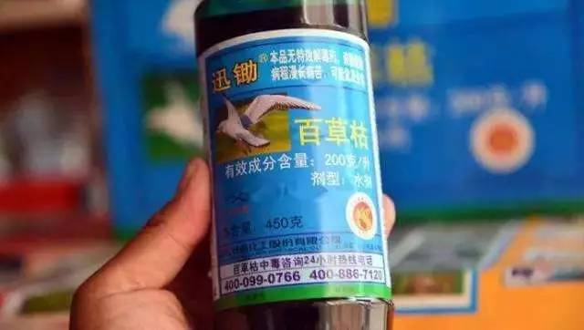 柳州毒案最新,柳州毒案庭审2018