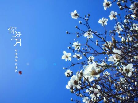 属虎人2018年生肖运势详解,属虎人2018年的运势运程如何