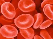 即食阿胶补血,阿胶高档有没有效果