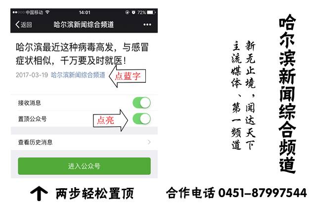 猫，究竟是固体还是液体？物理学（严肃地）说：可以都是！