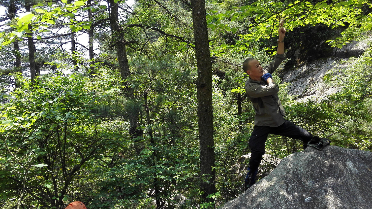 走近你就走进了痛苦出自哪里,走近你就是走近痛苦