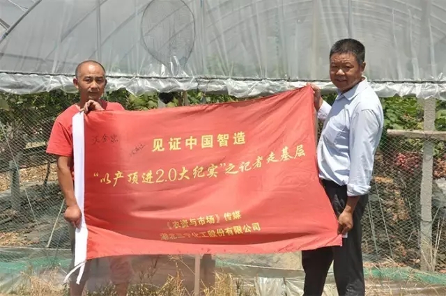 来自浙江农民的心声，三宁肥料，真的好！