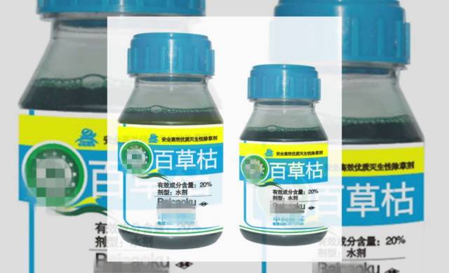 柳州毒案最新,柳州毒案庭审2018