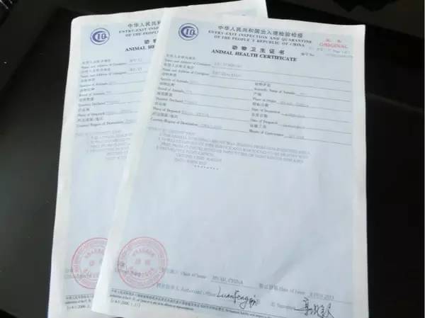 泰国清迈自驾游攻略,泰国到清迈自驾游最佳路线