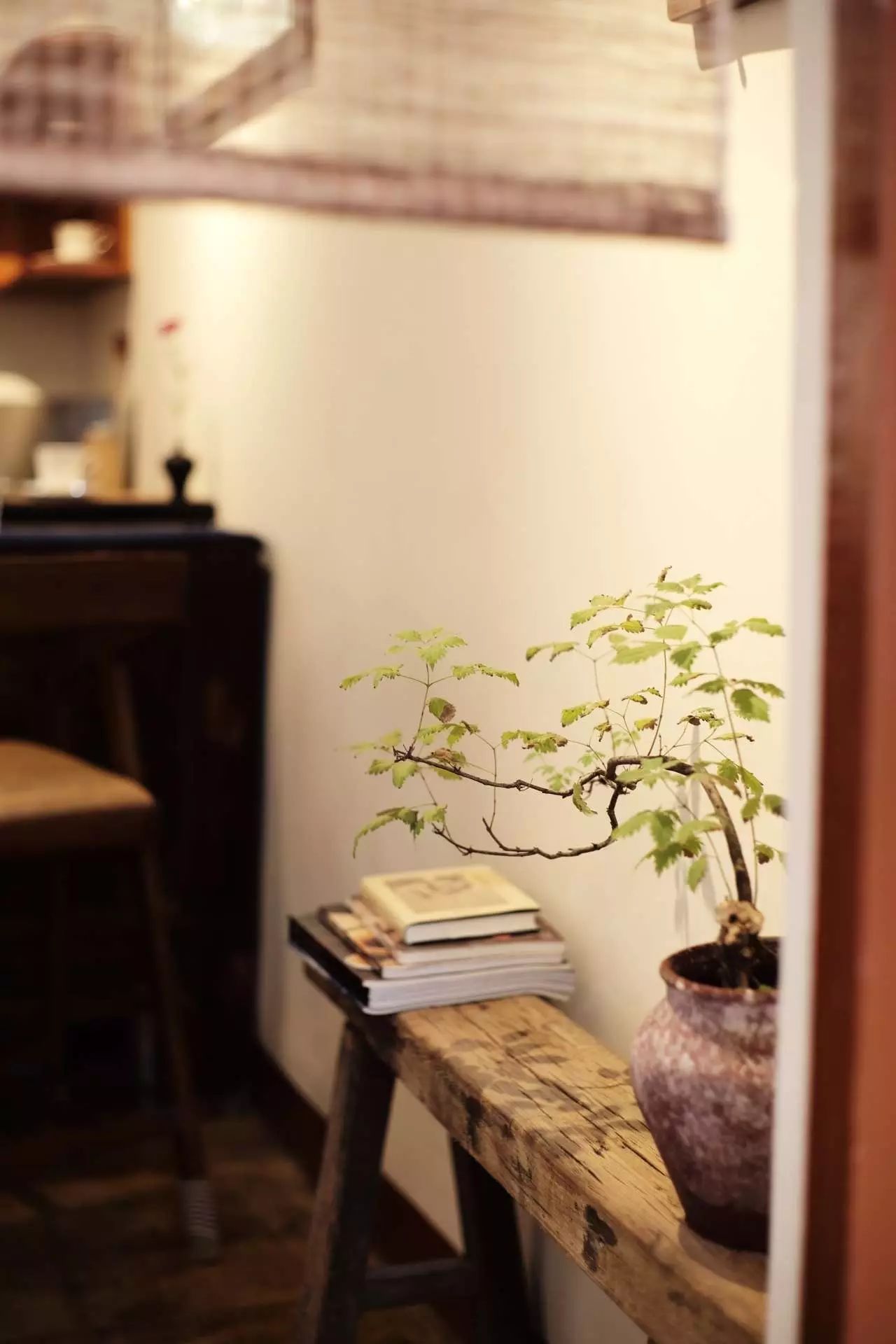 在济南这座历史古城，寻找让你惊艳的咖啡味道和有趣的咖啡人