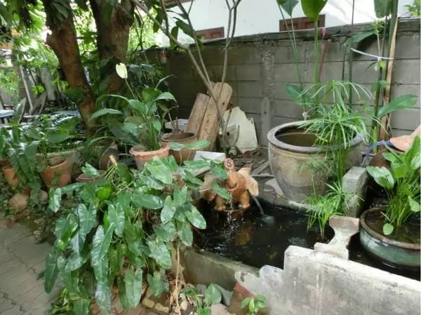 泰国清迈自驾游攻略,泰国到清迈自驾游最佳路线