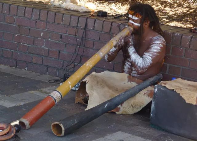 搞笑诺贝尔奖猫咪,关于猫的诺贝尔搞笑奖