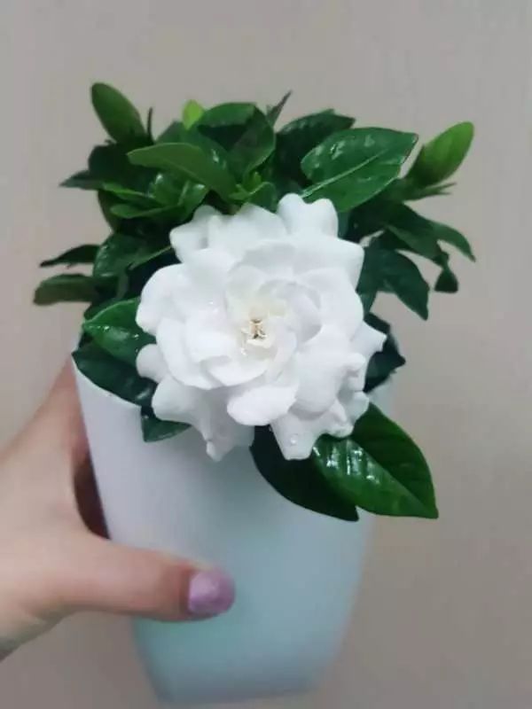 在淘宝上有什么好买的,在淘宝上买的很实惠的东西