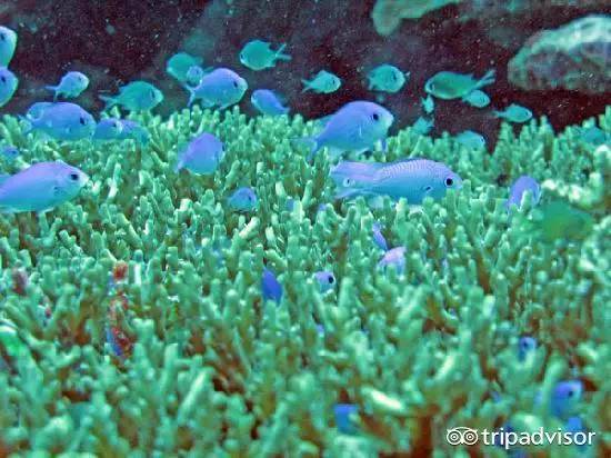 2023十大免签海岛,斐济海岛美景