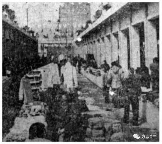 成都荷花池市场前景,成都荷花池批发市场起源