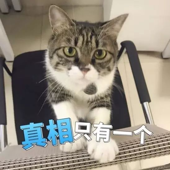 便宜好用膨润土,松木很不好吗