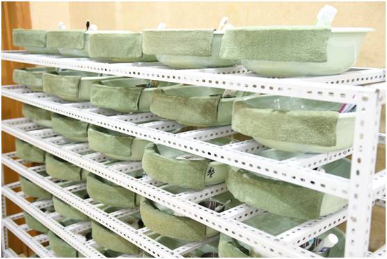 00后军人小哥哥变装,怎么成为帅气的兵哥哥