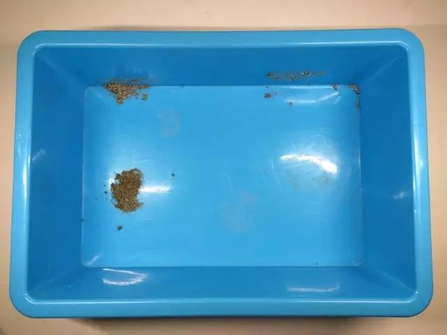 便宜好用膨润土,松木很不好吗