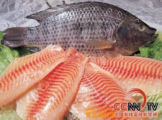 大连金凯瑞国际贸易,大连金凯瑞最新消息