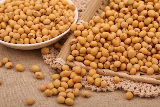 喜欢吃甜品的妹子、情侣们不用担心会发胖,网红爆款豆乳盒子比妖艳*货贱**好吃多了!