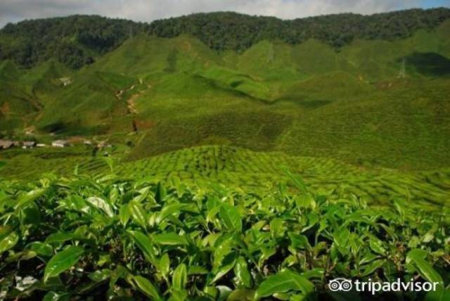 除了吉隆坡，13个马来西亚必去目的地，每个都值得一去！